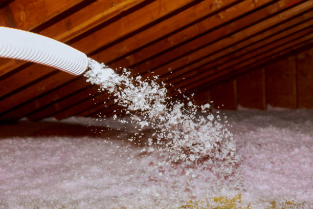 Best Spray Foam Insulation  in Long Valley, NJ